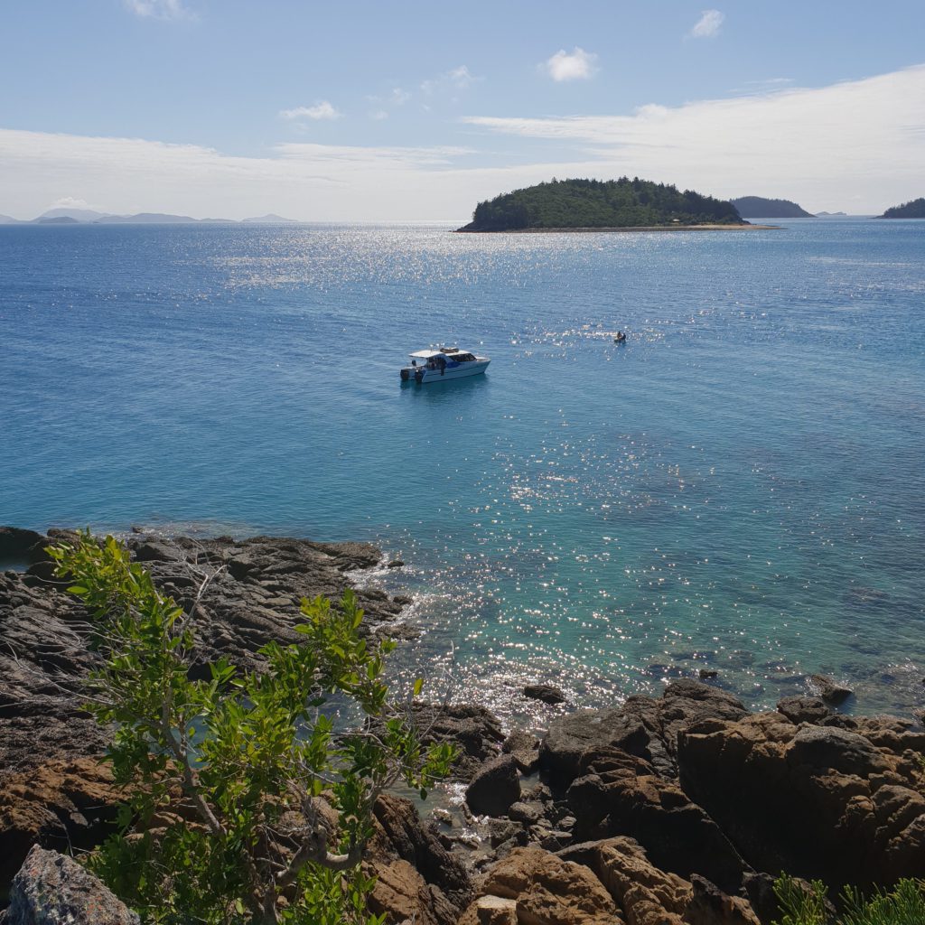 Sailing the Whitsundays