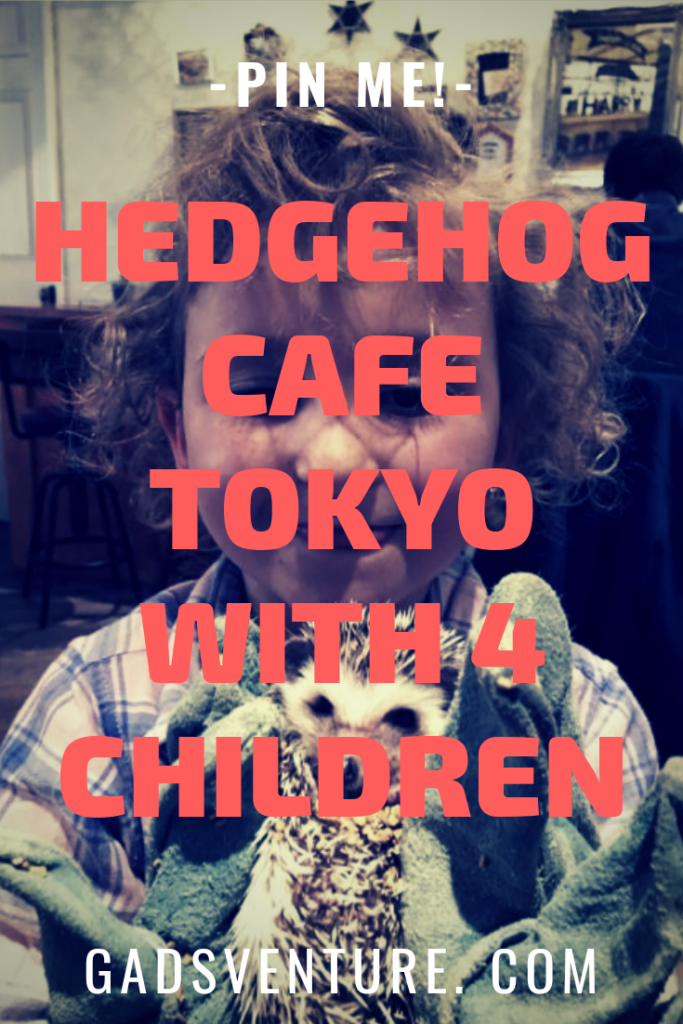 Hedgehog Cafe Tokyo