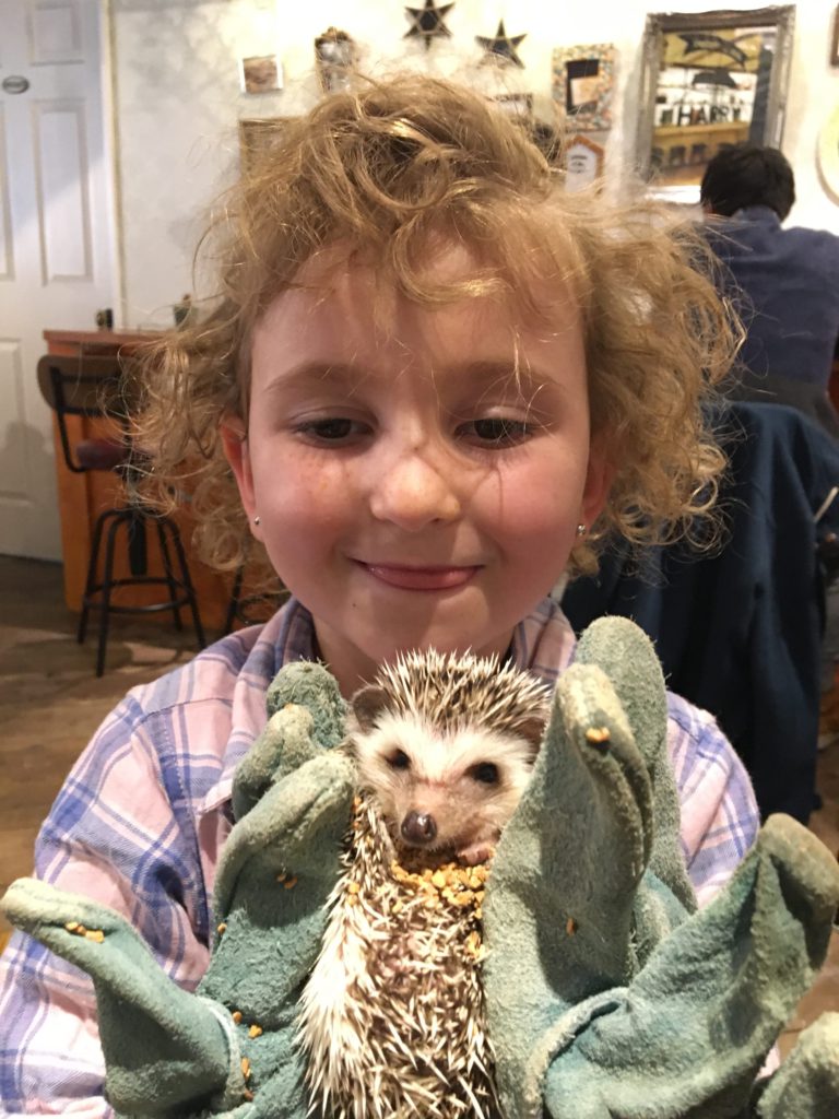 hedgehog cafe tokyo