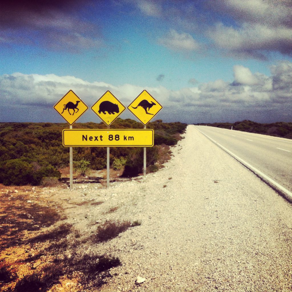 Nullarbor Plain