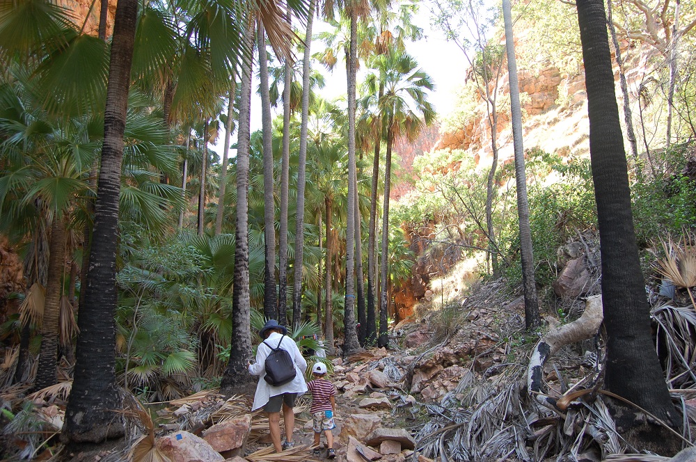 El Questro Gorge