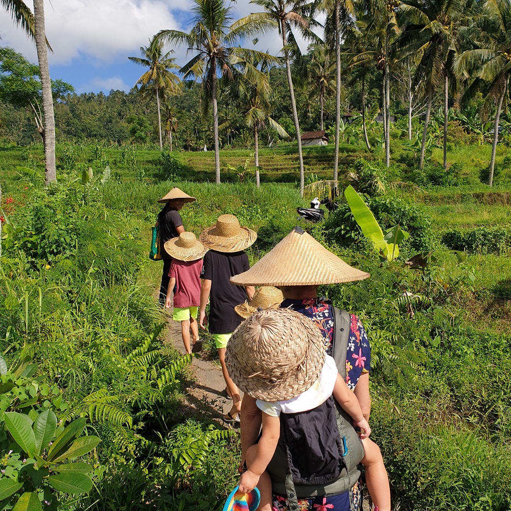 the bali travel guide