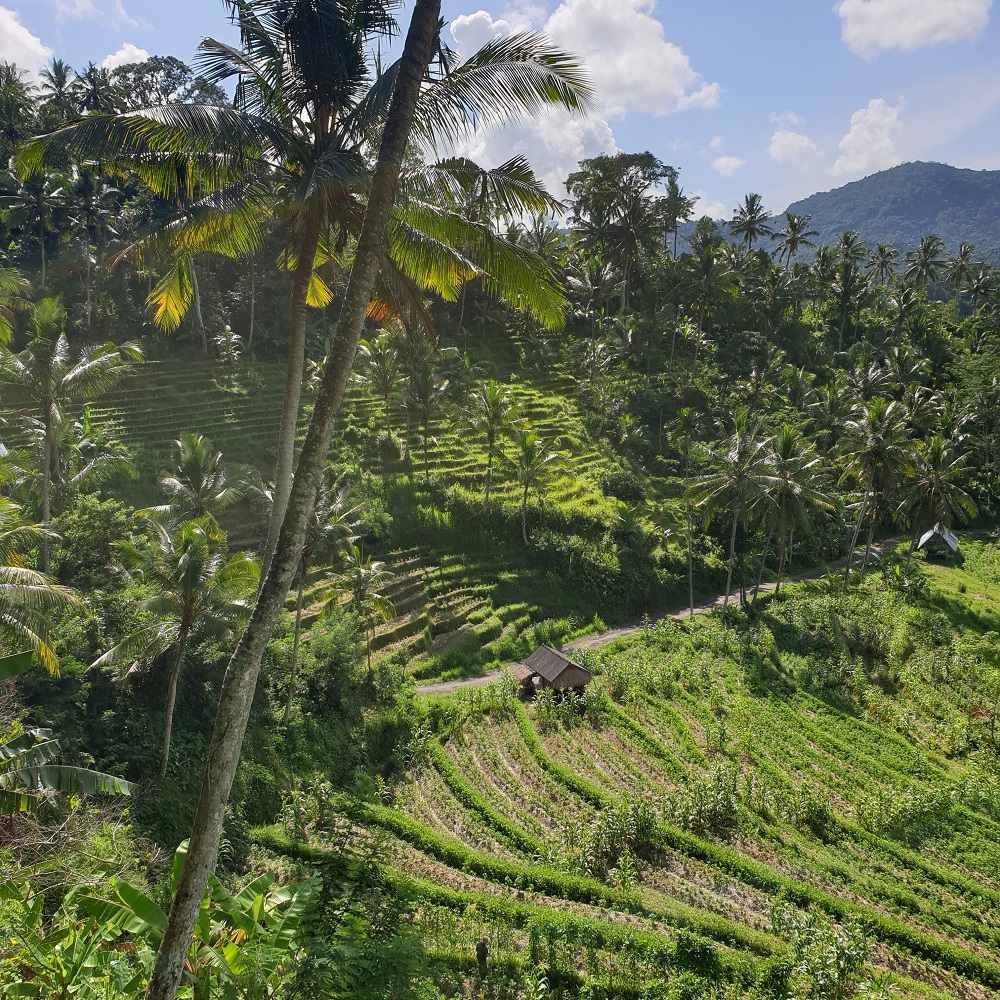 sidemen bali