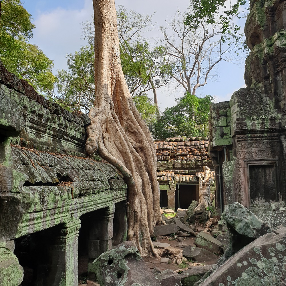 Cambodia Travel Guide