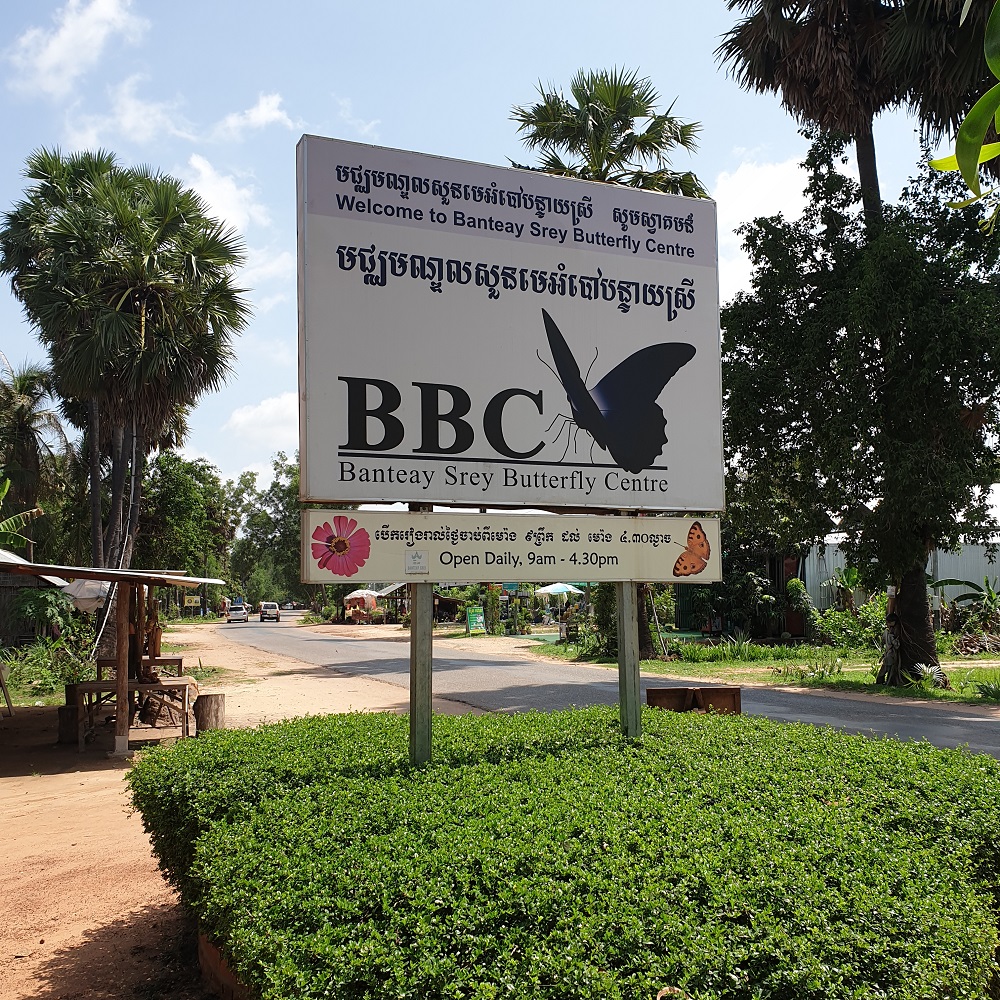 Banteay Srey Butterfly Center