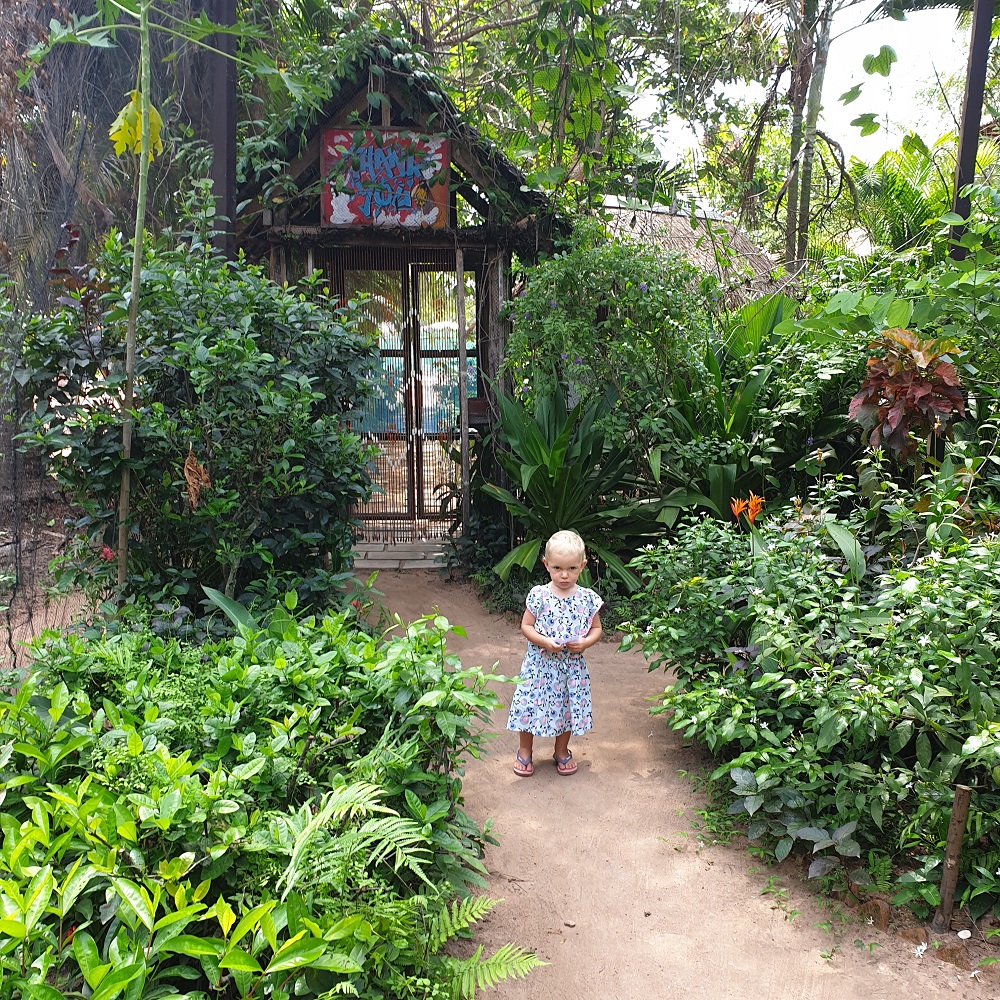 Banteay Srey Butterfly Center