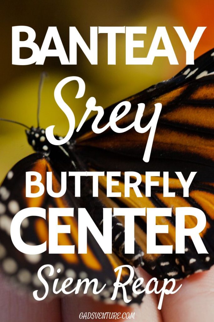 Banteay Srey Butterfly Center