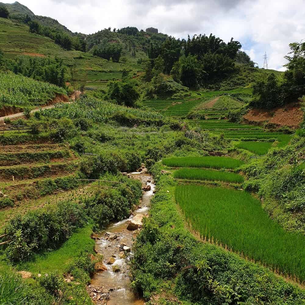 Trekking Sapa