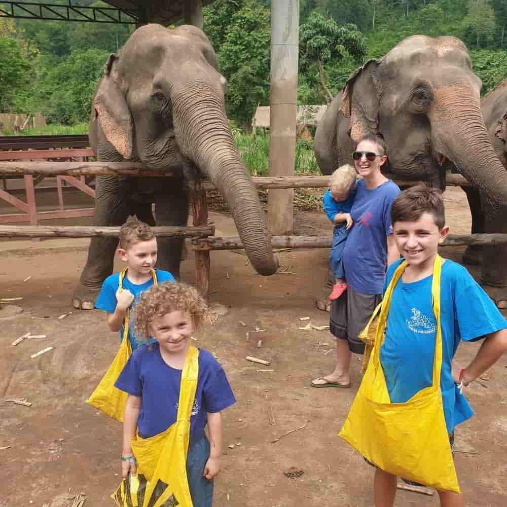 Best elephant sanctuary Chiang Mai