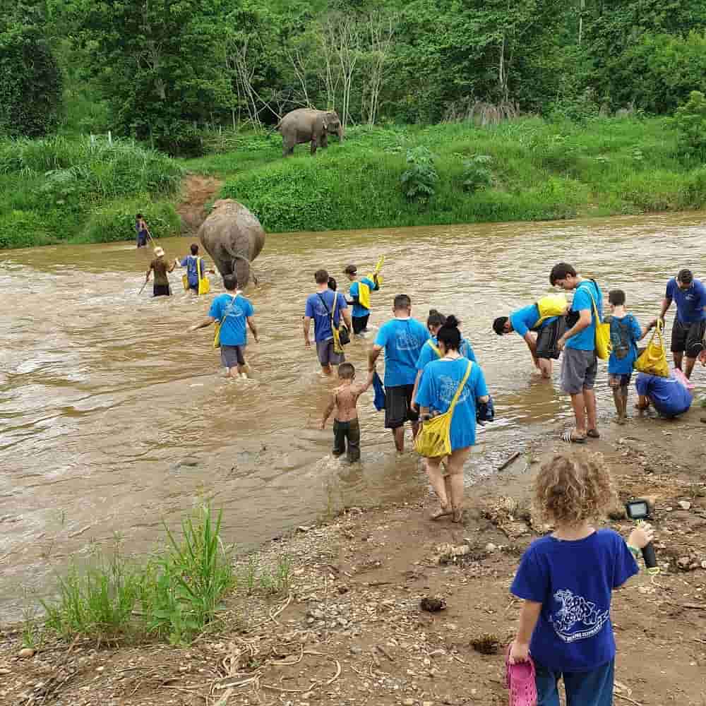 Best elephant sanctuary Chiang Mai