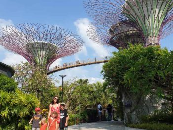Gardens by the bay ticket