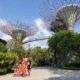 Gardens by the bay ticket