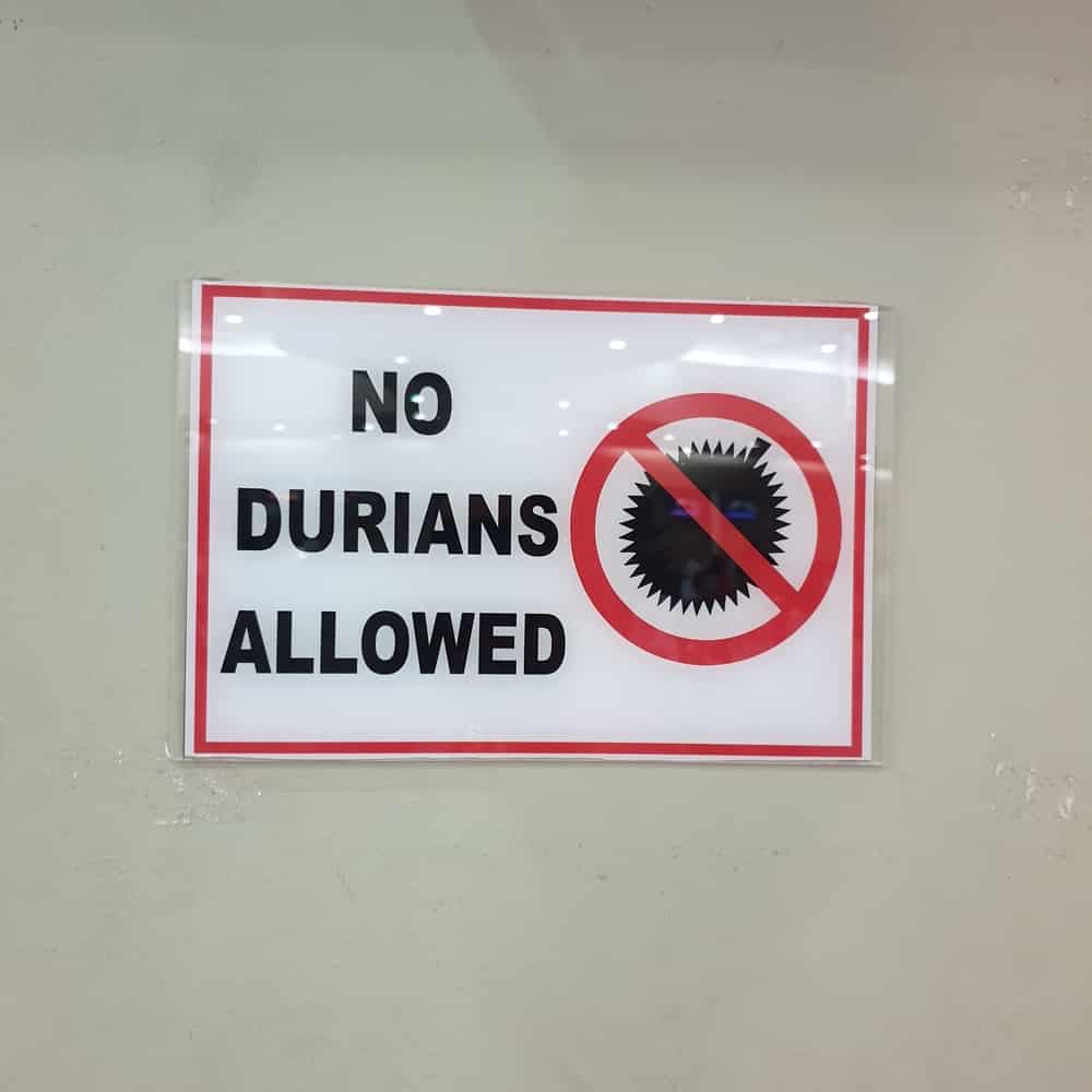 What is a Durian