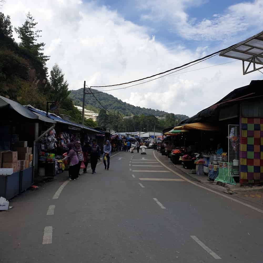 Things to do at Cameron Highlands