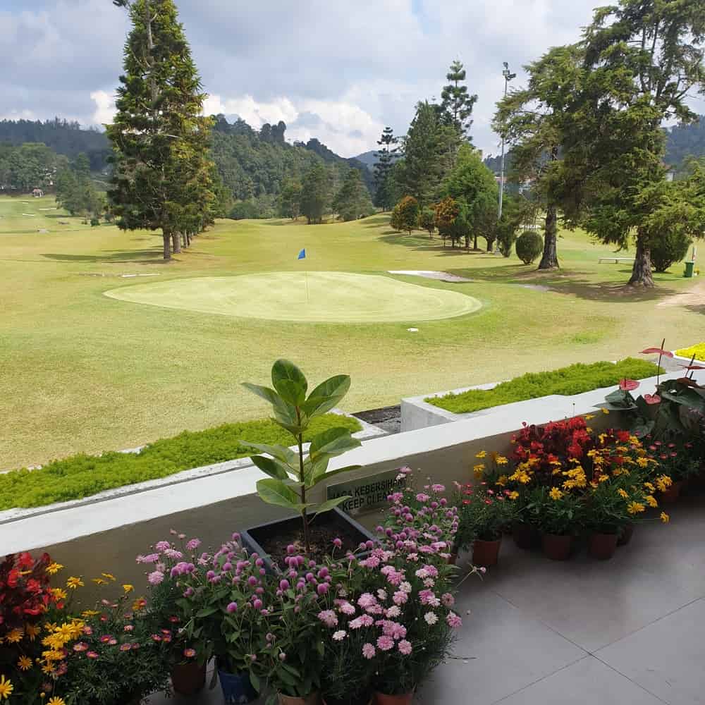 Things to do at Cameron Highlands