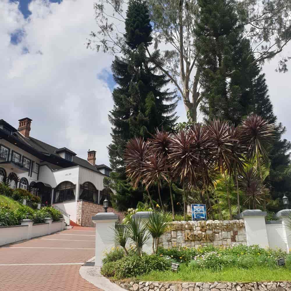 Things to do at Cameron Highlands