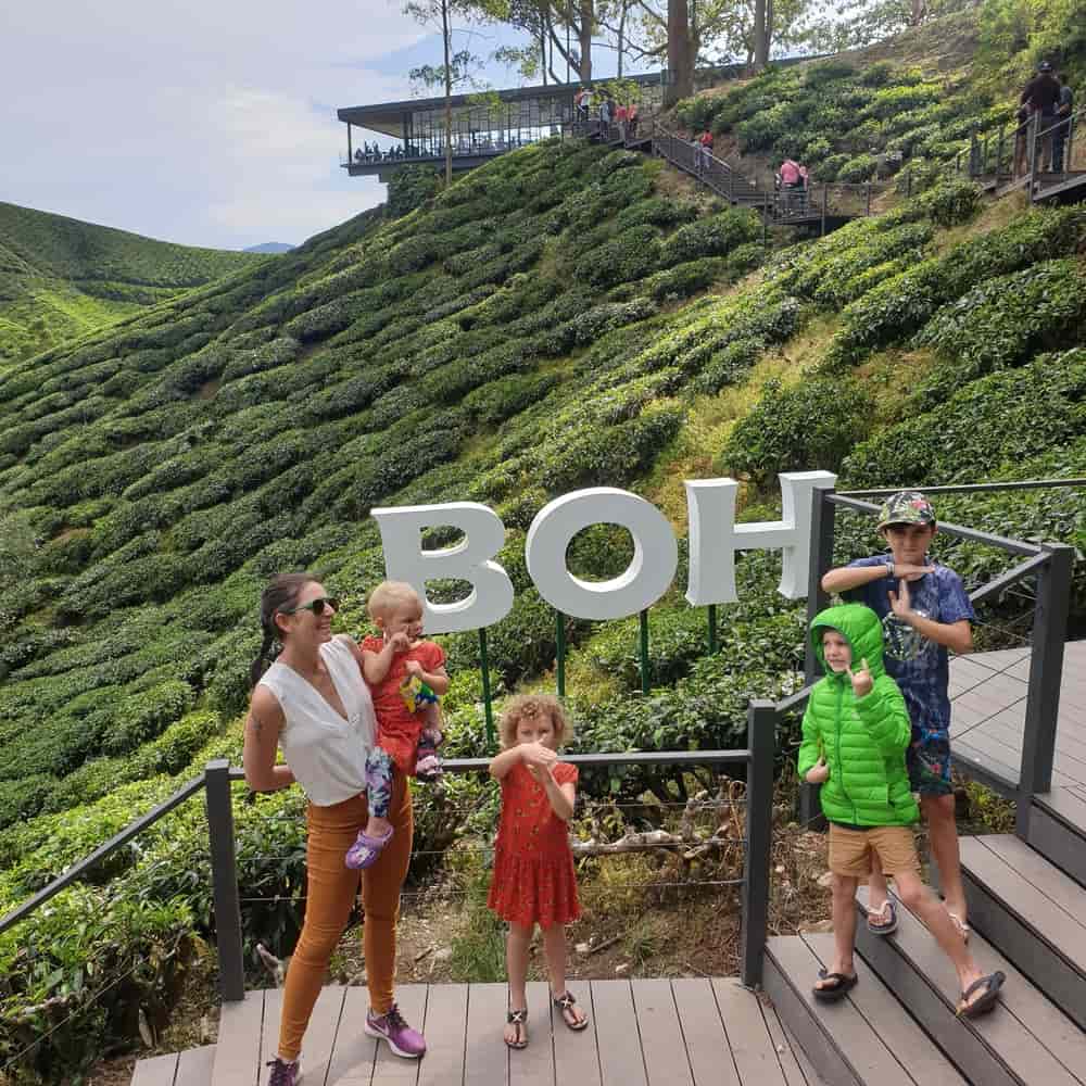 Things to do at Cameron Highlands