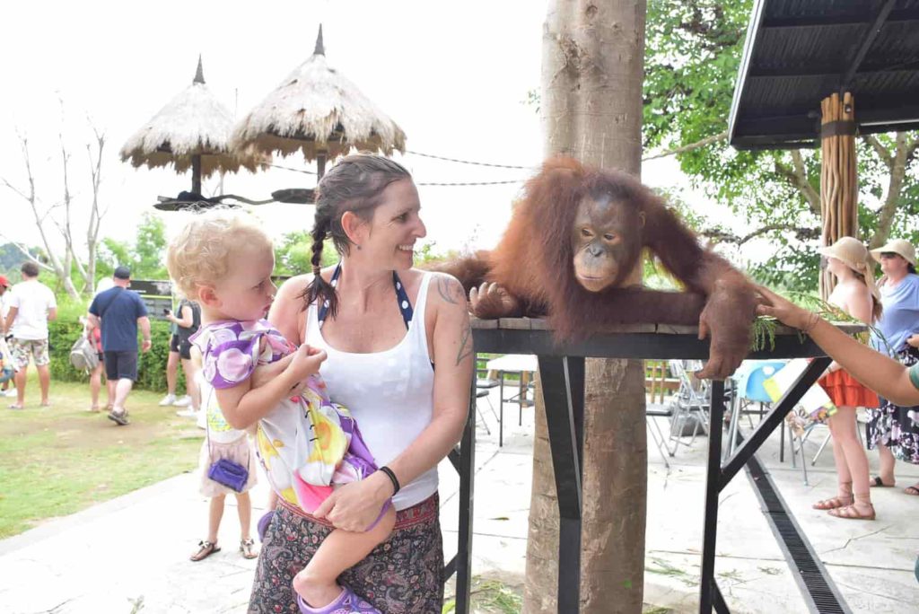 Bali Zoo Breakfast with Orangutans
