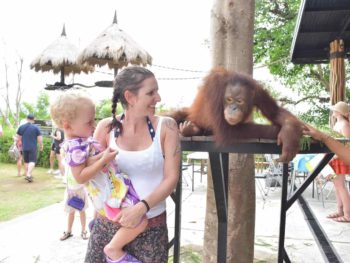 Bali Zoo Breakfast with Orangutans
