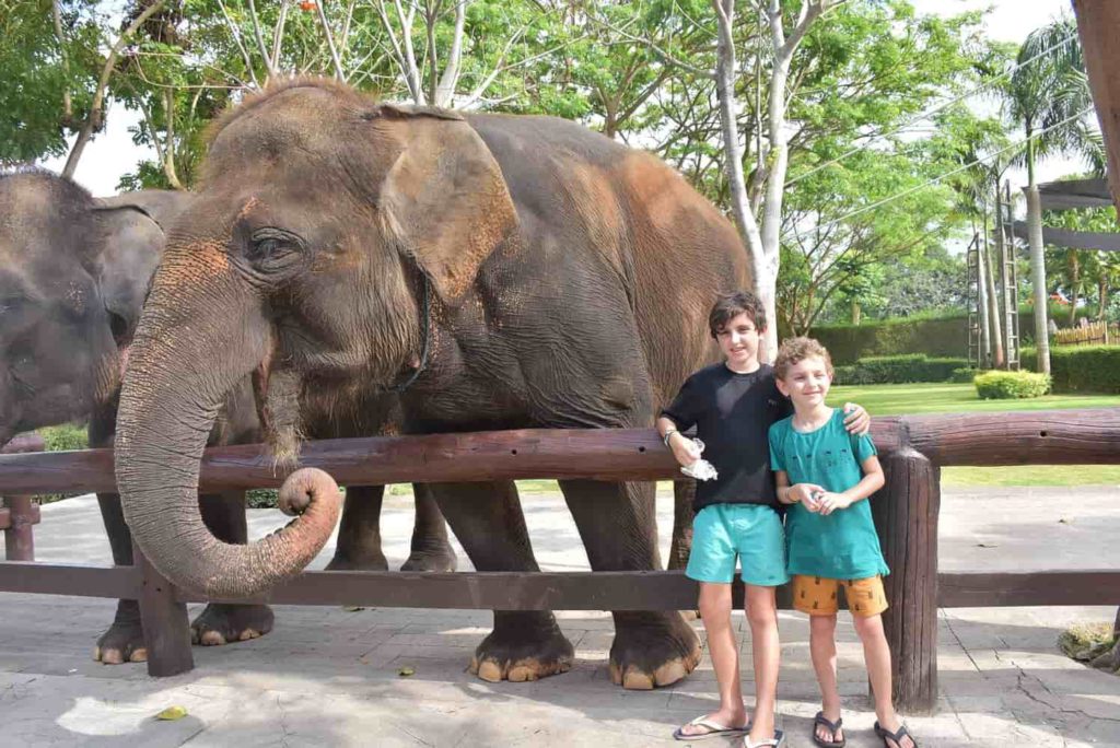 Bali Zoo Breakfast with Orangutans