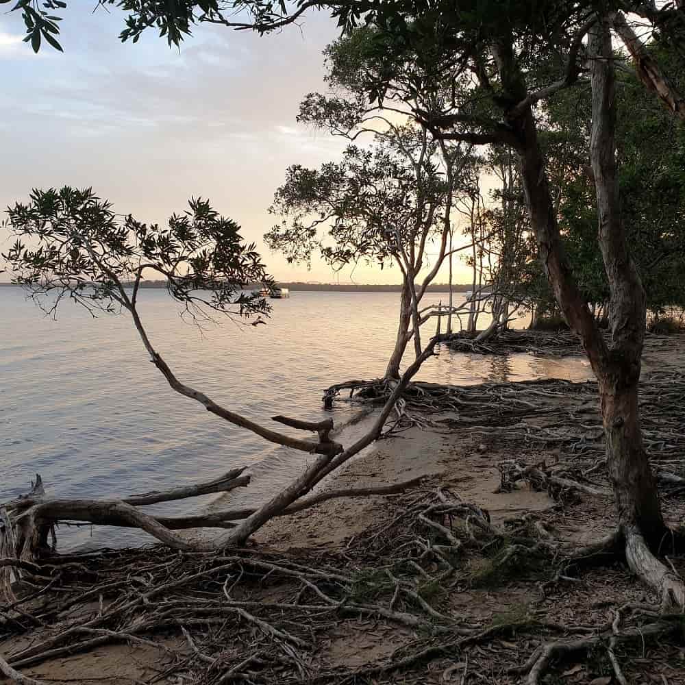 Habitat Noosa Everglades Ecocamp