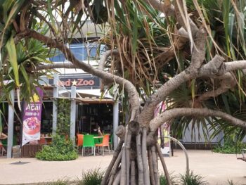 things to do coolum