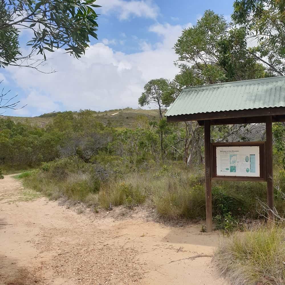 things to do coolum