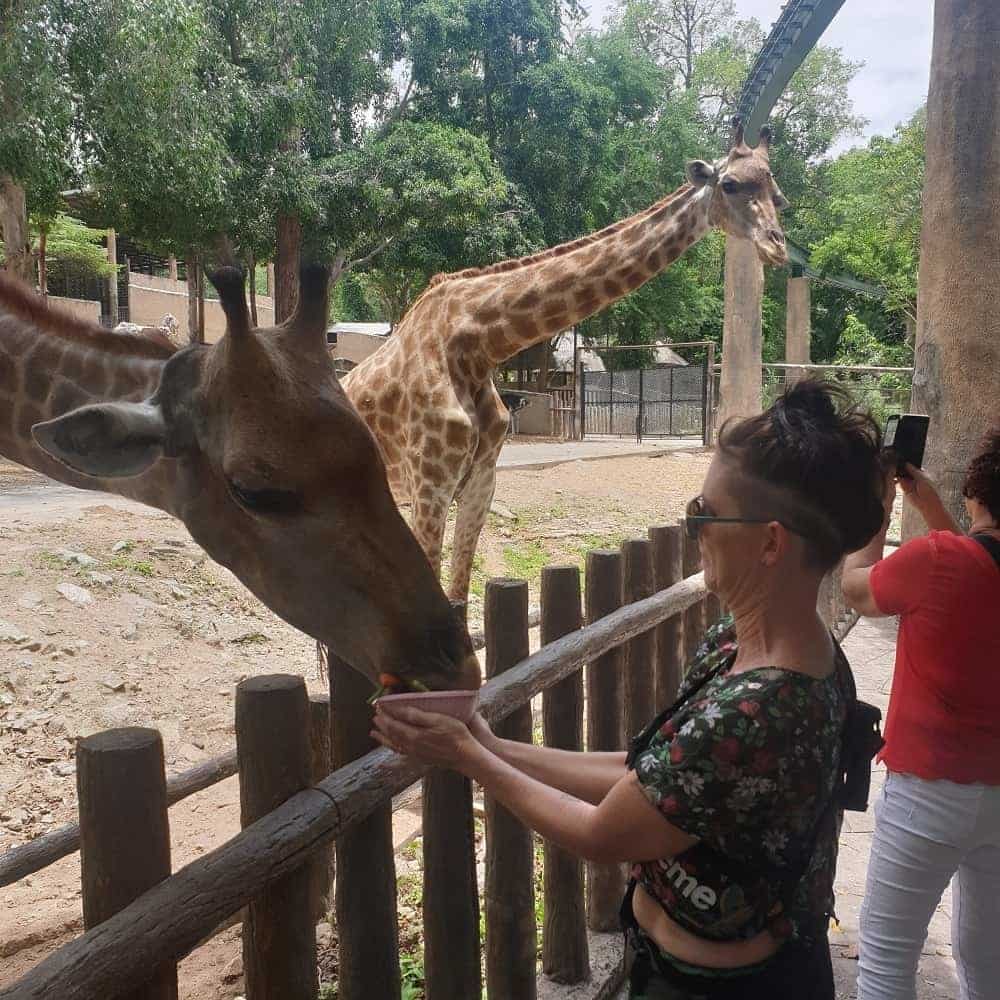 Chiang Mai Zoo