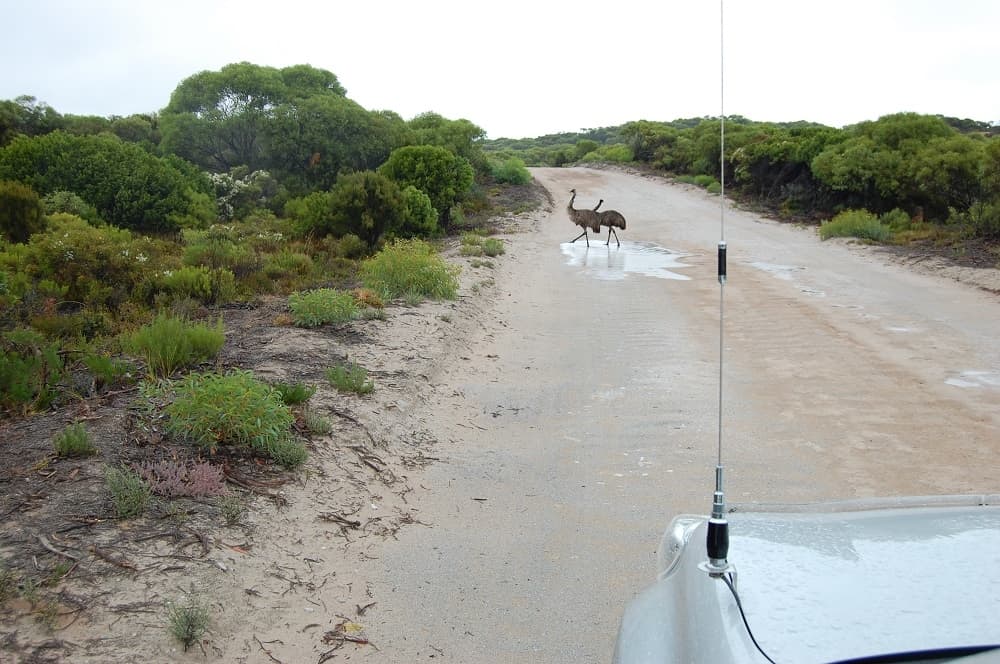 Innes National Park 4WD tracks