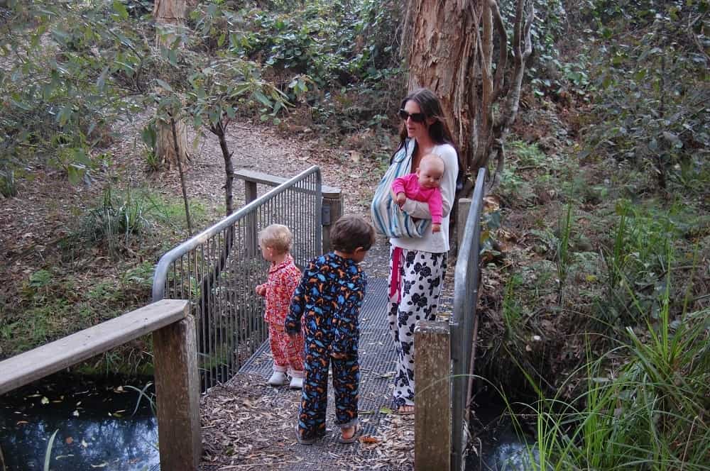 Crowdy Bay National Park 