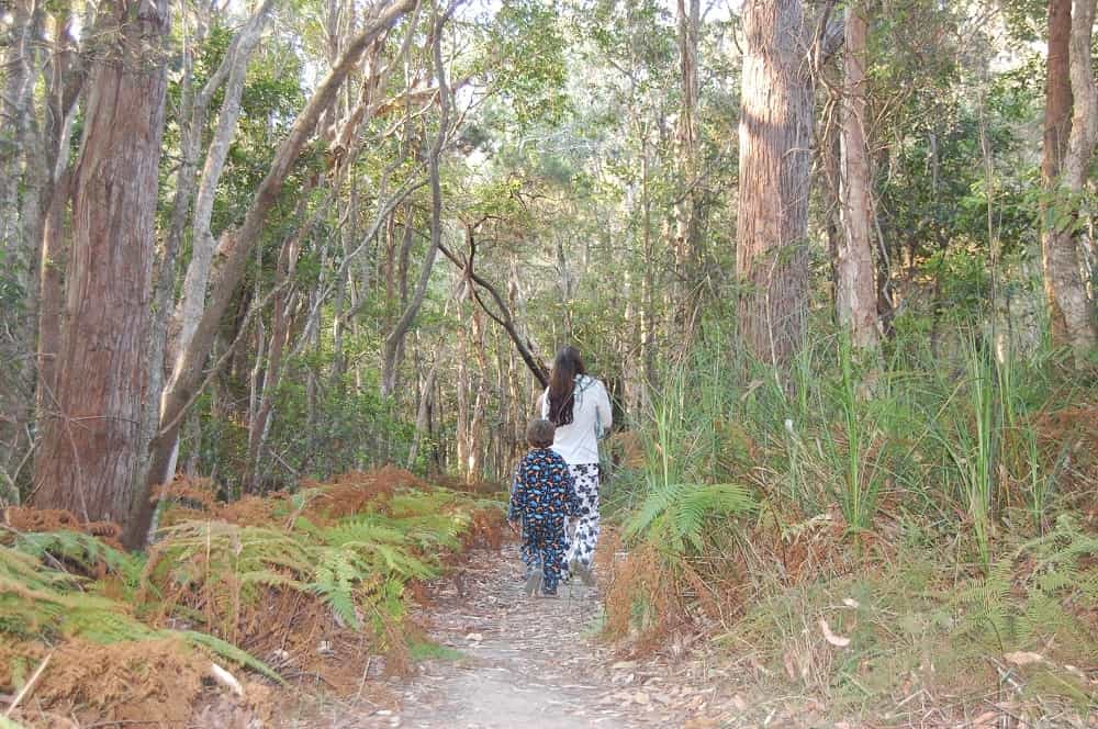 Crowdy Bay National Park Trekking