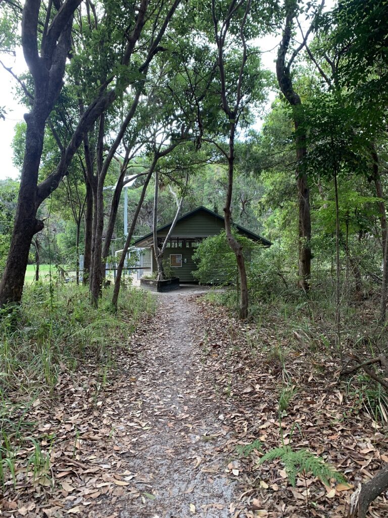 Teewah Beach Camping