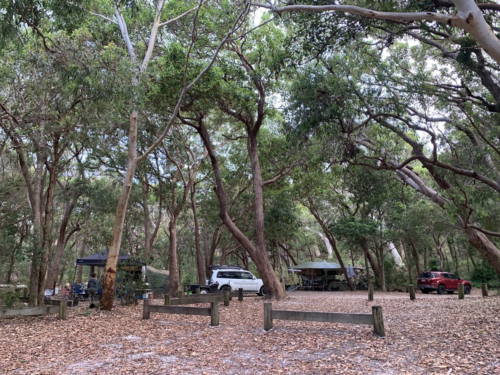 Teewah Beach Camping