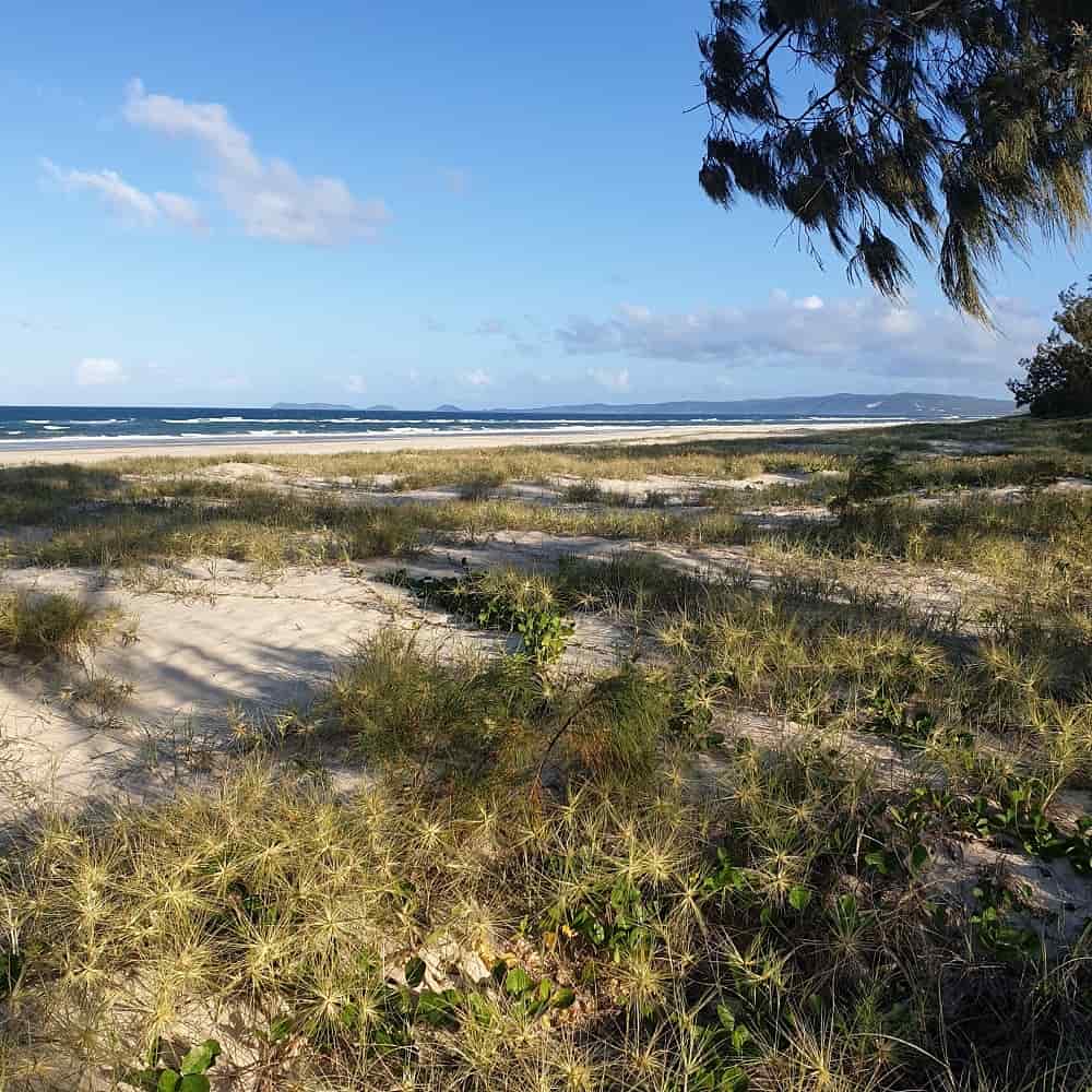 Inskip Point Camping