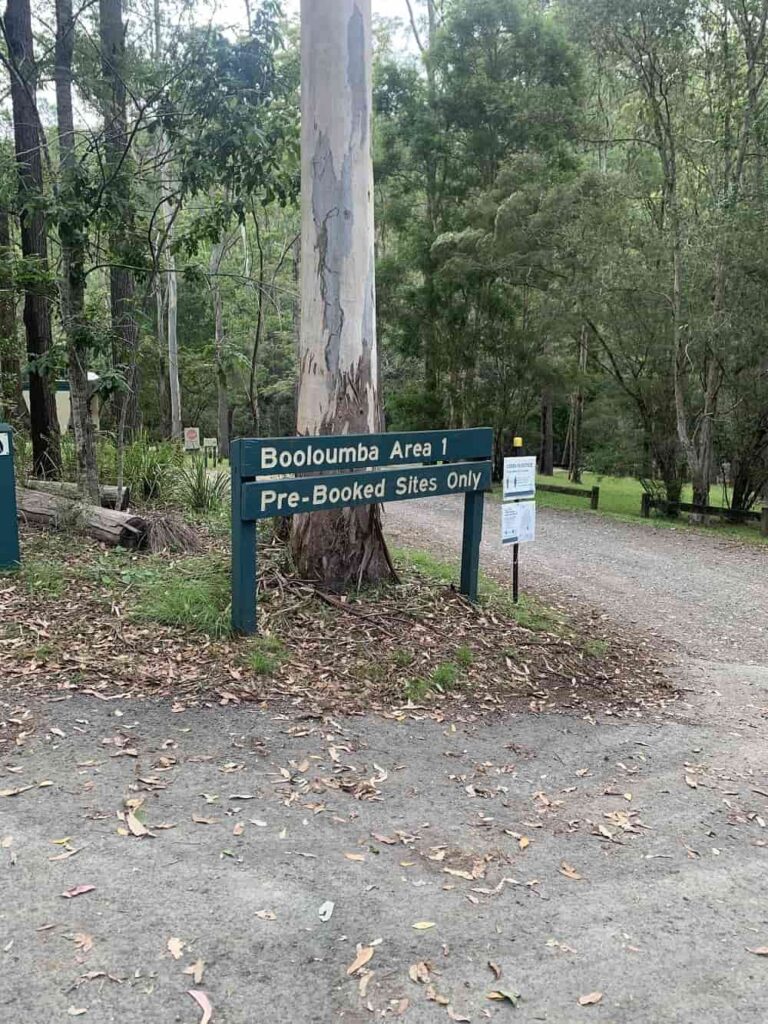 Booloumba Creek Camping