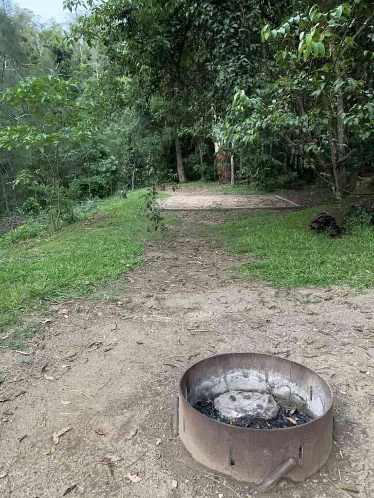 Booloumba Creek Camping