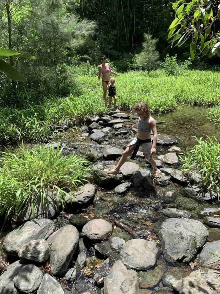 Booloumba Creek Camping