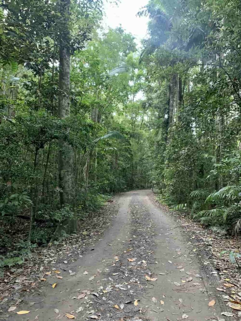 Booloumba Creek Camping