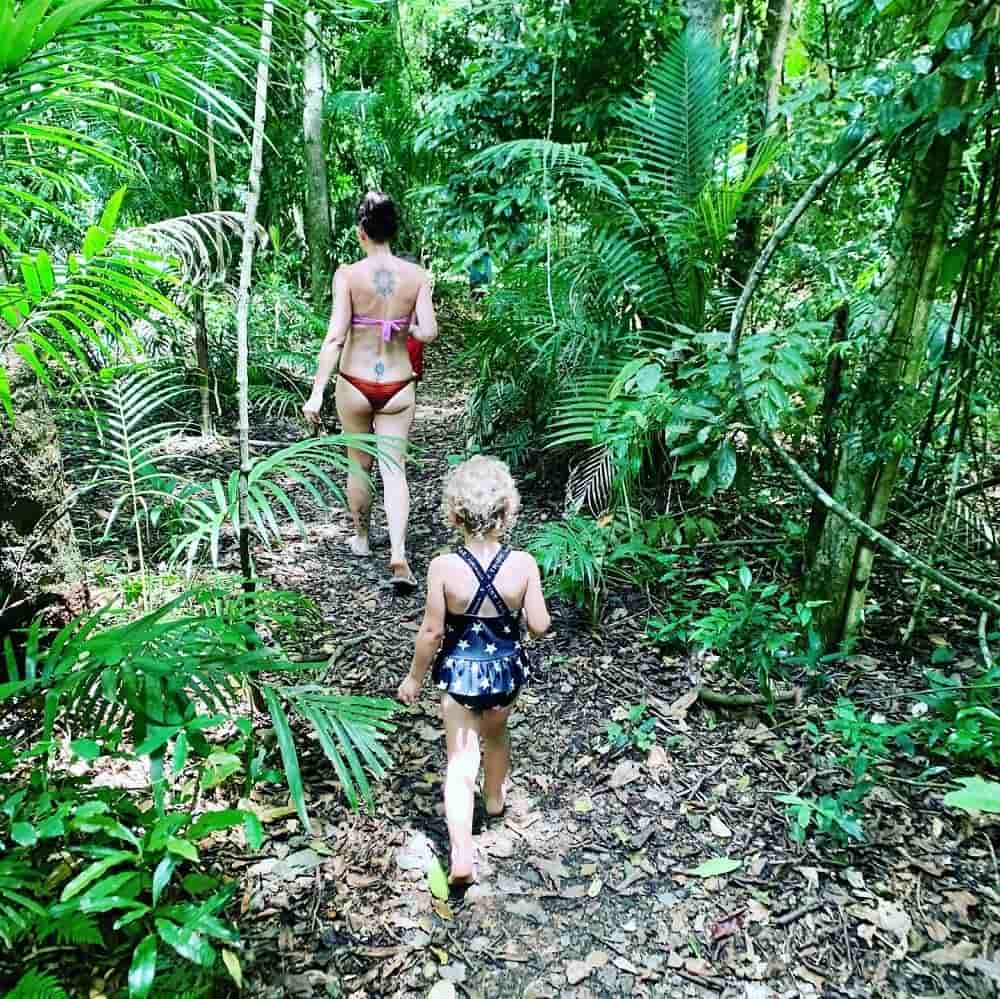 Booloumba Creek Bushwalking