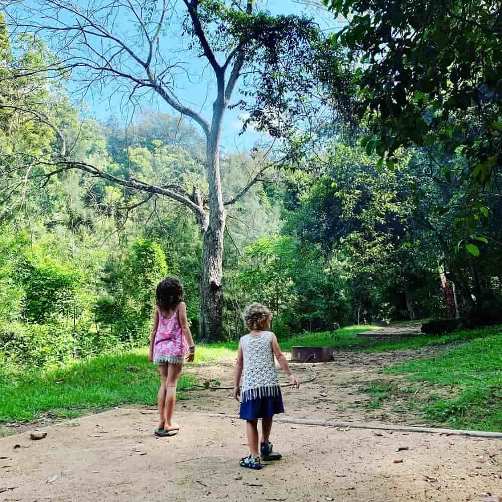 Booloumba Creek Camping